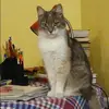 Отзыв от Инга Сухова